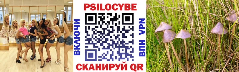 Псилоцибиновые грибы прущие грибы Славск